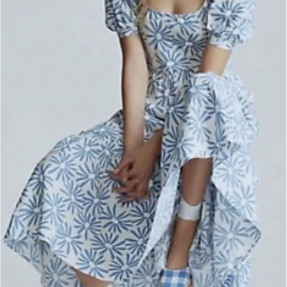 Ralph Lauren Blue and White Floral Maxi Dress - Picture 3 of 6